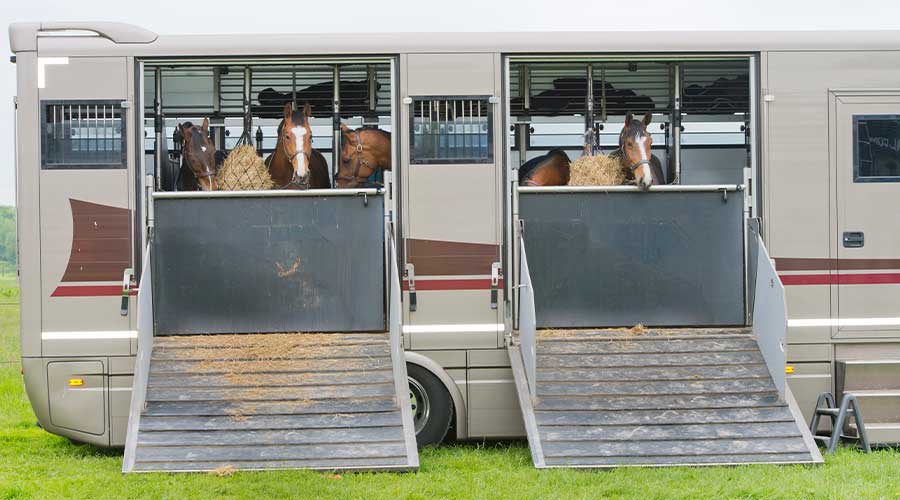 Horse Trailer Purchase Horse Trailer Purchase